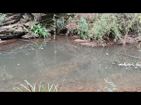 Domingo 2022 0508 - Bautismo - TRC 2022