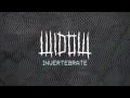 Darke Complex - "Invertebrate" 