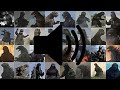 Every Godzilla Roar Combined