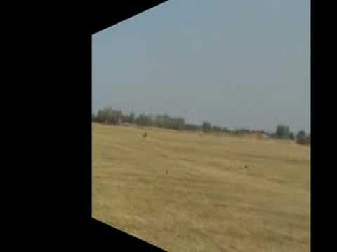 Aermacchi Mb339 crash flight