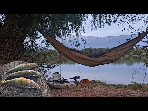 🎣 4 ZILE în DELTA DUNĂRII - Explorăm sălbăticia, dormim in HAMAC și MÂNCAM CE PRINDEM (Prima parte)