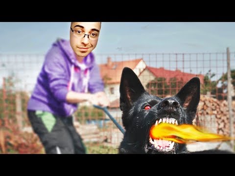 JUST FEED THE DOG BEFORE HE LOSES IT!!!! - Trick2G