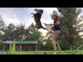 Playful Dogs Jump High To Catch Frisbee Every Time Owner Throws It 1063935 3