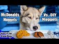 DIY Dog Chicken Nuggets Vs McDonald Chicken Nuggets