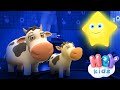 Estrella Estrellita ⭐💤 Canciones para dormir bebés | HeyKids - Canciones Infantiles