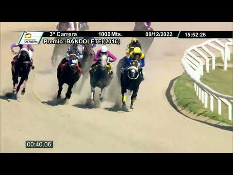 221209 c03 - NOCHE MAGICA - HIPODROMO LAS PIEDRAS