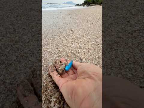 What’s this?! 😳