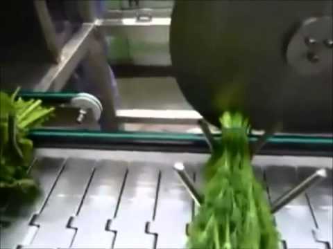 Herb Processing