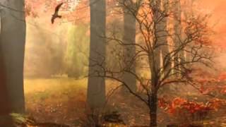 yusuf taşkın ağla sevdam