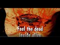 Dismember | Skinfather | Lyric Video