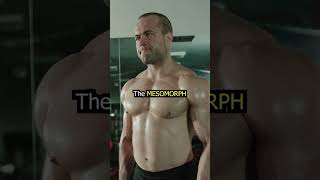 Three Body Types in a Nutshell