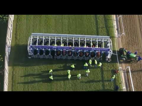 RAINBOW BRIDGE - Hollywoodbets GOLD CHALLENGE (Grade 1)