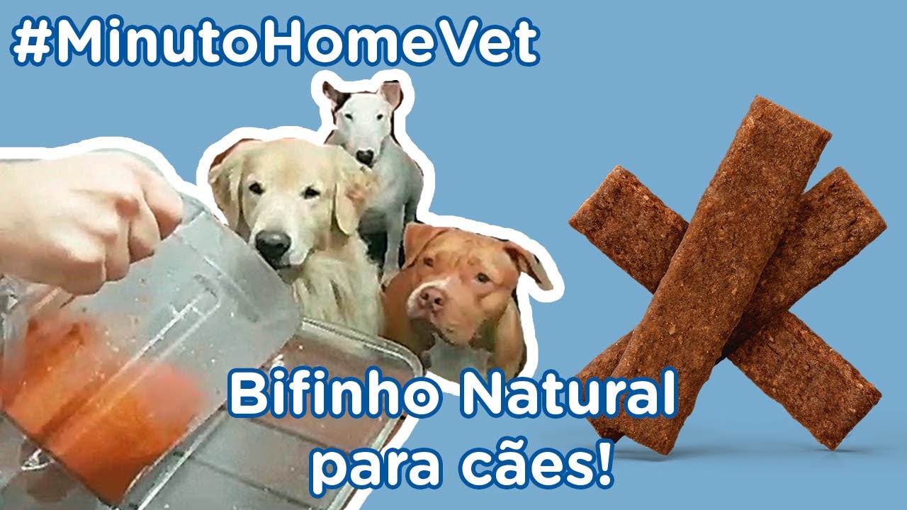 MINUTO HOME VET  #2- Bifinho Natural para Cães
