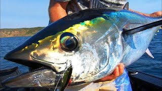 MELBOURNE BLUEFIN TUNA SMASHING STICKBAITS - YouFishTV weekly #7