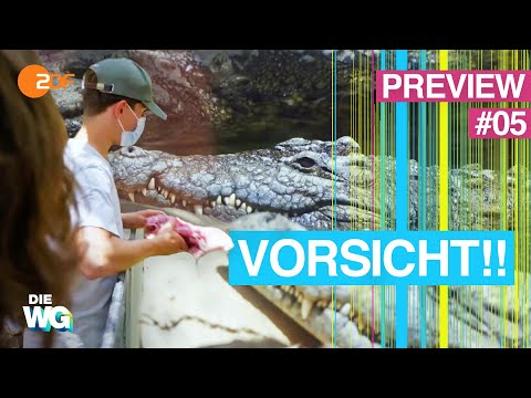 SIE FÜTTERN KROKODILE! 🐊😟 Folge 5 - SNEAK PREVIEW | Die Mixed-WG - Fiesta Gran Canaria