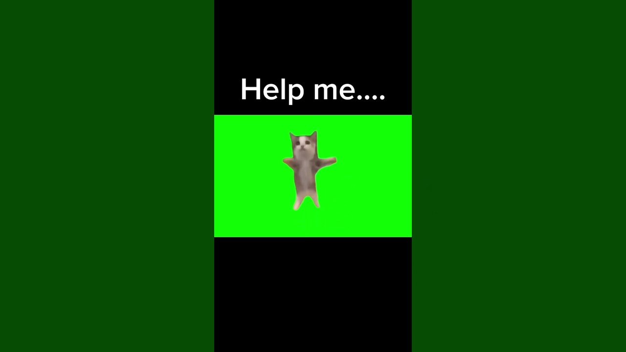 Scary secret about “Happy Happy Cat song”