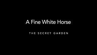 Fine White Horse