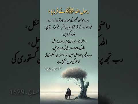 Rasool Allah ﷺ said 💕 #Muhammadﷺ #urdu #quotes #islamic #islamicquotes #nabiﷺ #Nabipakﷺ #viralreels