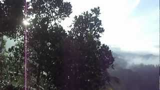 preview picture of video 'the shade homestay munnar'