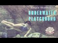 Underwater Fun With Shannon Scott Blowing Bubbles Rings At SeaWorld Orlando Mermaid Magic