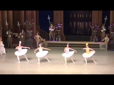 宝石の精（パ・ド・カトル）「眠れる森の美女」第3幕、マリインスキー劇場 Pas de quatre"Sleeping Beauty"Act3 , Mariinsky Ballet