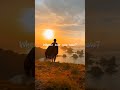 Where Are You Now ️ Alan Walker Faded Lyrics Shorts Lyrics Alanwalker Lyricsstatus Ytshorts