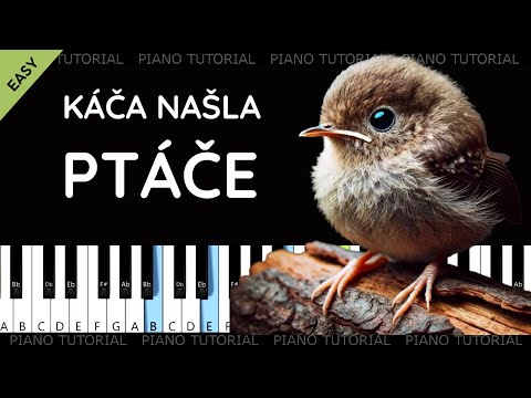 Káča našla ptáče - Jaroslav Uhlíř  (piano tutorial | klavír | akordy | noty | české písničky)