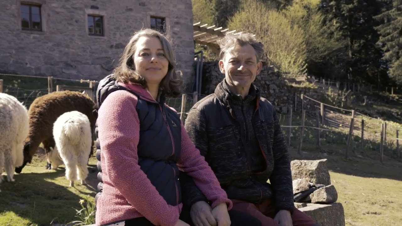 Découvrez les alpagas et créez votre porte-clés en laine d'alpaga avec Marie-Aude et Laurent - Vidéo