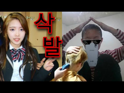 삭발해봤다/여자 삭발/머리 기르는 과정