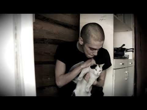 Video thumbnail for Хаски (Husky) — Закономерные случайности (Round 3)