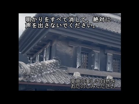 モロッコ地震:目撃者が謎の光を報告-研究者は説明できない