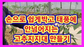 손으로 쉽게박고 태풍에 안넘어지는 고추지지대,말뚝 만들기~고추농사 잘짓는법,고추지줏대 고추줄,끈 쉽게매는법 …
