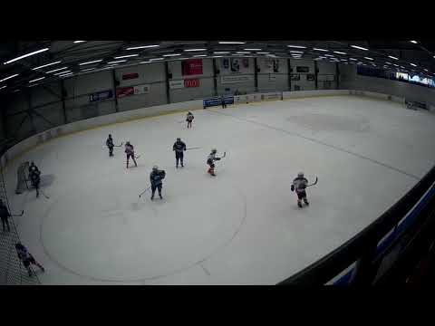 HC Lvi ČB - HC Milevsko II.tř. Březen 2019