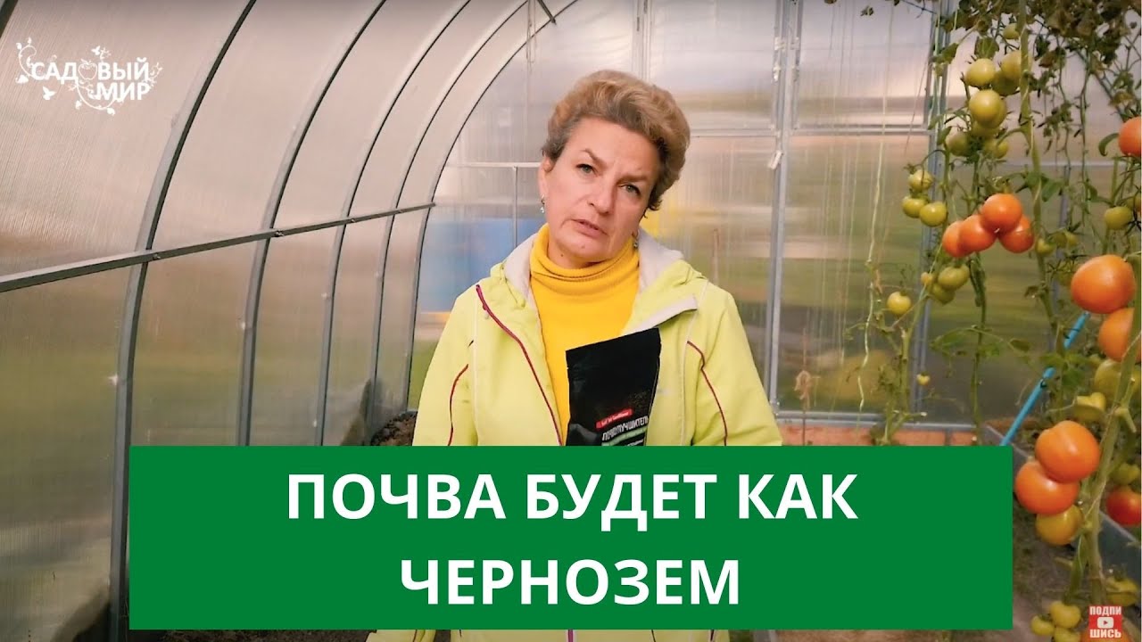Как улучшить истощённую почву. Это нужно сделать осенью!