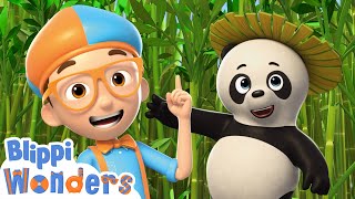 Blippi Meets a Panda 🐼 Blippi Wonders 🐼 Moonbug Kids - Learning Corner