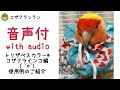 音声付【トリザベスカラー】使用例紹介　コザクラインコ🐤キー坊ちゃん　エリザベスカラー　自咬　毛引き