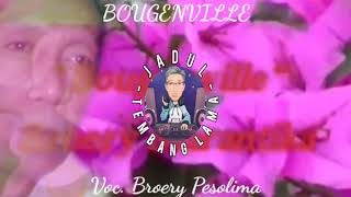 Download lagu Bougenville - Voc. Broery Pesolima mp3 Download lagu Bougenville - Voc. Broery Pesolima mp3