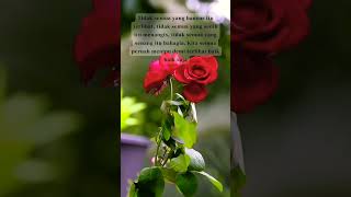 Download lagu Promise _ Melly Goeslaw #storywa30detikgalau #storywa30detik #storywa #story #galau #shorts mp3 Download lagu Promise _ Melly Goeslaw #storywa30detikgalau #storywa30detik #storywa #story #galau #shorts mp3