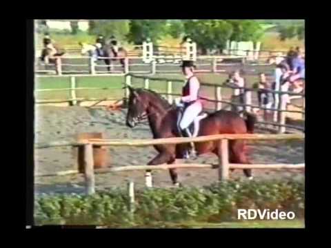 RDVideo - (video 4 di 8) 1991 Centro Ippico la Querce - Montemurlo (Prato)