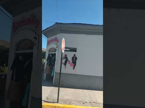 Vicuña, Chile 🇨🇱 (Coquimbo province)