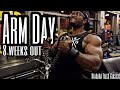 Arm Day in Montreal