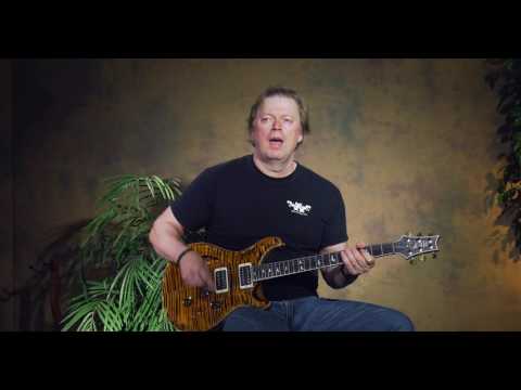 PRS Custom 24 Wood Library Semi-Hollow Review