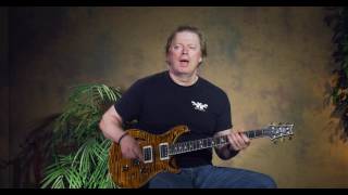 Video thumbnail for PRS Custom 24 Wood Library Semi-Hollow Review by Willcutt Guitars