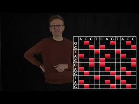 Lecture 11, concept 11: Detecting relationship from similarity - dot plots