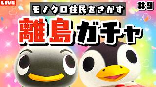 【あつ森】今日で何度目のリベンジ！？モノトーンな住民を探す離島ガチャLIVE配信【あつまれ どうぶつの森】
