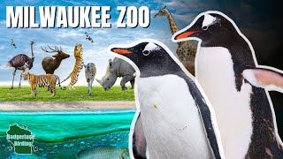 Exploring a Hidden Gem Zoo Full of RARE and EXOTIC Birds!