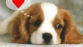 ALBERTO PLAZA.... 14 DE FEBRERO.... IMAGENES : ROQUE