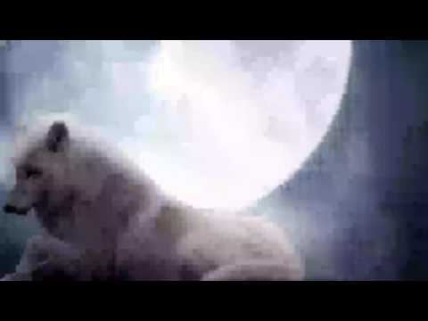 Chakuza, RAF Camora und Joshi Mizu -Ruhe Nach Dem Sturm