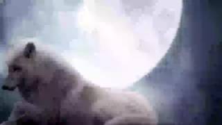 Chakuza, RAF Camora und Joshi Mizu -Ruhe Nach Dem Sturm