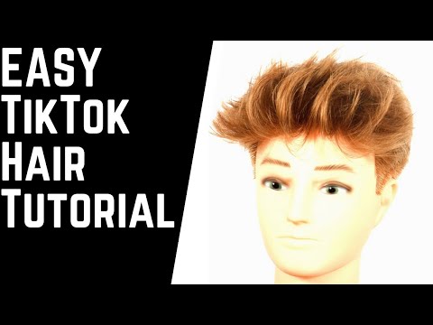 , title : 'EASY TikTok Hairstyle Tutorial - TheSalonGuy'